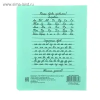Тетрадь 12 листов узкая линейка &laquo;Зелёная обложка&raquo;, с алфавитом, термоупаковка, фасовка по 25 шт.