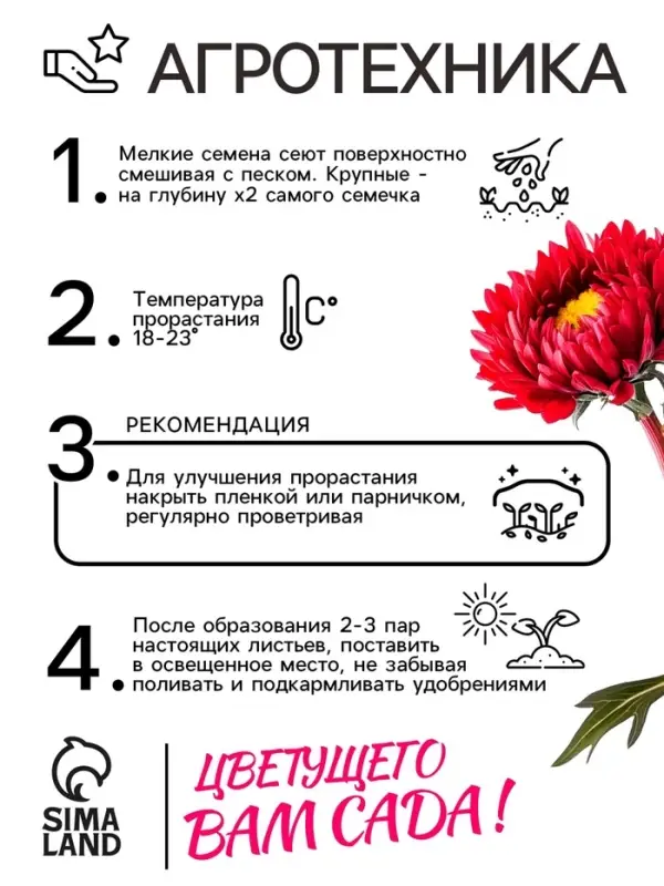 Семена   Астра Матсумото Дебют, смесь окрасок , 0,2г