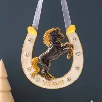 Сувенир-подкова &laquo;Удачи&raquo;,10,5х10,5х0,05см,  эмаль, стразы