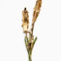 Брошь "Колосья", цвет жёлто-зелёный в золоте