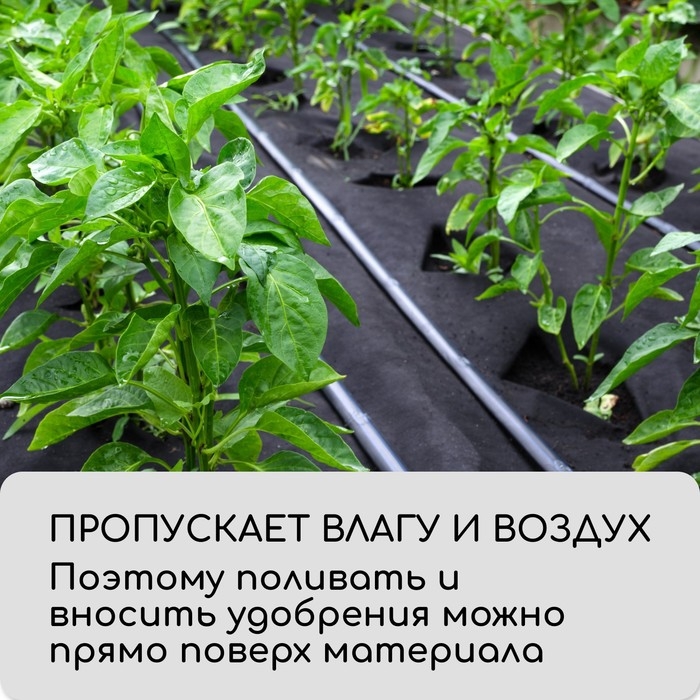 Материал мульчирующий, с перфорацией (4 ряда), 20 × 1,6 м, плотность 80 г/м², спанбонд с УФ-стабилизатором, чёрный, Greengo, Эконом 30% Материал мульчирующий, с перфорацией (4 ряда), 20 × 1,6 м, плотность 80 г/м², спанбонд с УФ-стабилизатором, чёрный, Greengo, Эконом 30%