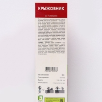 Крыжовник "Сенатор", 1 шт, туба, Весна 2025