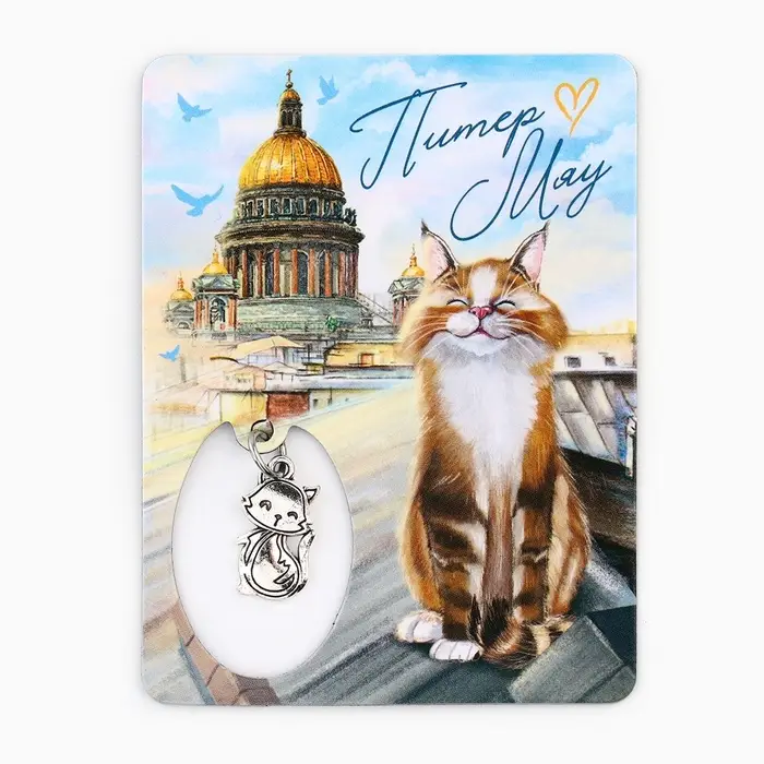 Магнит &laquo;Питер&raquo;, 6&times;8 см