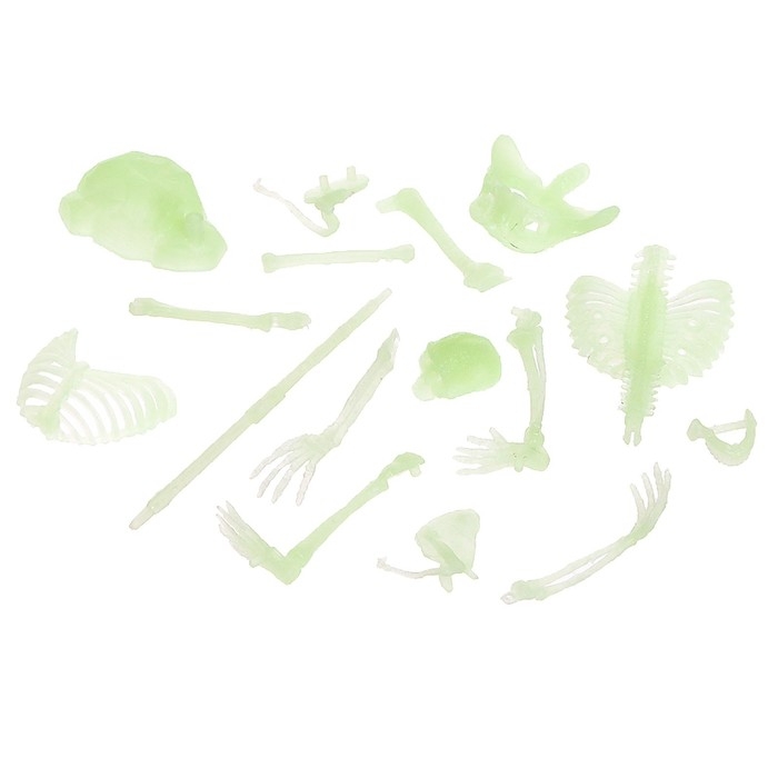 Набор для опытов «Мир ужасов» Набор для опытов «Мир ужасов»