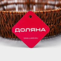 Корзинка для подачи Доляна &laquo;Огайо&raquo;, d=25,5 см, круглая, цвет коричневый