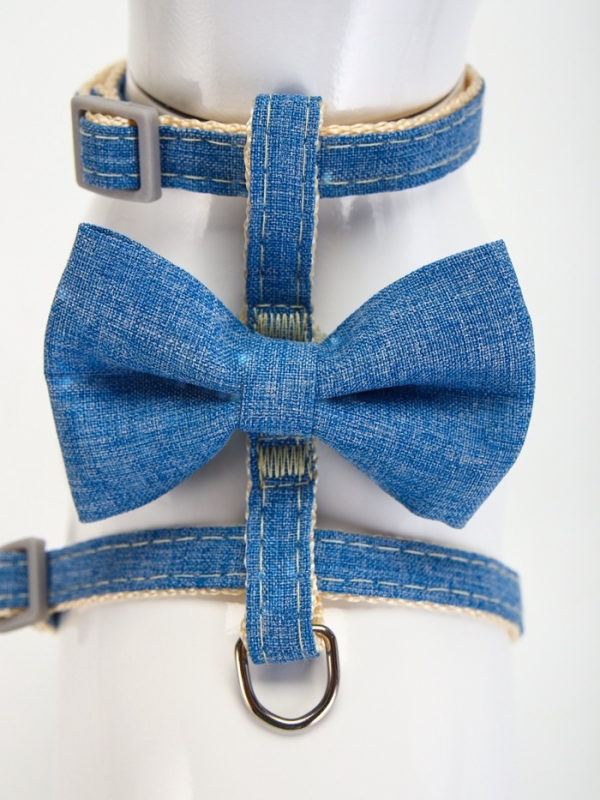 Комплект амуниции "Леди и Джентельмен", поводок 120 х 1 см, синий