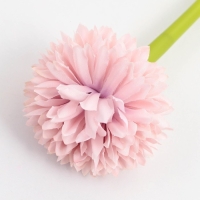 Подарочная ручка «Любимому учителю», пластик, синяя паста, пишущий узел 1 мм Подарочная ручка «Любимому учителю», пластик, синяя паста, пишущий узел 1 мм