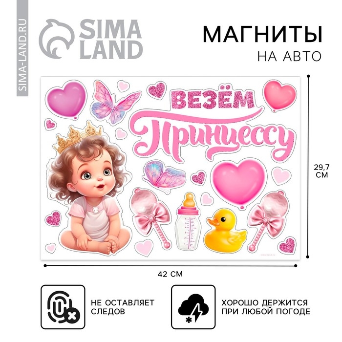 Набор магнитов на авто &laquo;Везем принцессу&raquo;, на выписку, 42 см х 29,7 см
