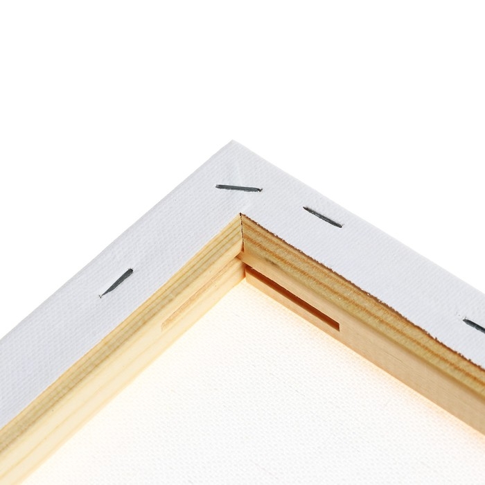 Холст на подрамнике 1,6х50х60 см, Calligrata, хлопок 100%, акриловый грунт, мелкозернистый, 280г/м&sup2;