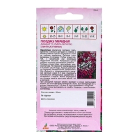 Семена Гвоздика Диамант F1 Смесь 10шт* Семена Гвоздика Диамант F1 Смесь 10шт*