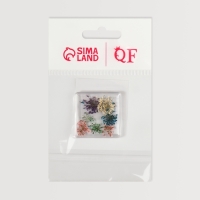 Сухоцветы для декора ногтей, в футляре, вид МИКС Сухоцветы для декора ногтей, в футляре, вид МИКС