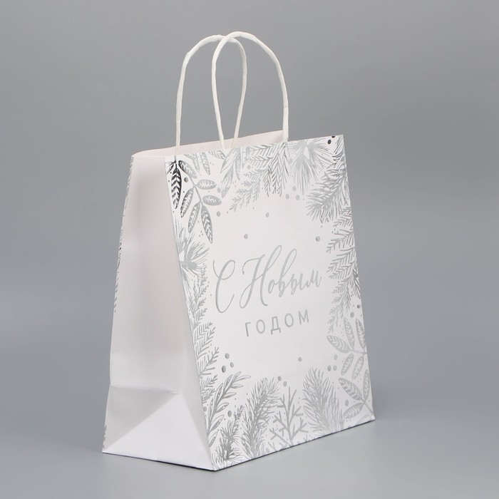 Пакет подарочный новогодний крафтовый &laquo;Серебро&raquo;, 22 х 25 х 12 см, Новый год