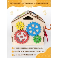 Бизидом «Малыш» Бизидом «Малыш»