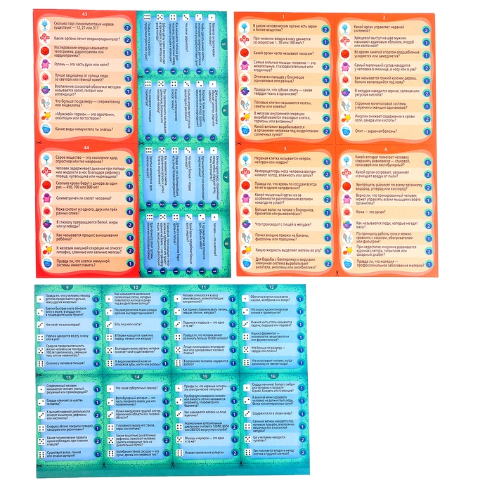 Настольная игра &laquo;Викторина. Как устроен человек?&raquo;, 7-12 лет