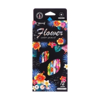 Карандаши 12 цветов в картонной коробке, шестигранные, деревянные,Цветы на чёрном МИКС