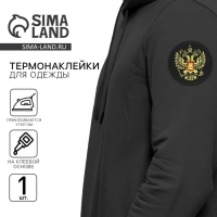 Термонаклейка на одежду &laquo;Орёл&raquo;, диам.6 см