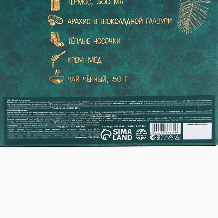 Подарочный набор &laquo;Веселья в новом году&raquo;: чай со вкусом тропические фрукты 50 г., крем-мед с черникой 120 г., носки р-р: 36&ndash;39, термос 500 мл.