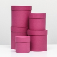 Набор шляпных коробок 5 в 1 "Фуксия", 20 &times; 20 &times; 20‒13,5 &times; 13,5 &times; 13,5 см