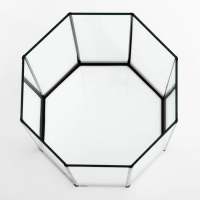 Аквариум "Восьмигранный" с крышкой, 24 литра, 25 х 25 х 46/50 см, чёрный