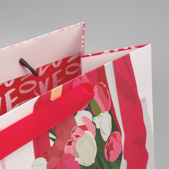 Пакет подарочный ламинированный двухсторонний, упаковка, &laquo;Стиль&raquo;, ML 23 х 27 х 11,5 см