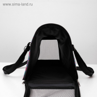 Сумка - переноска для животных, раскладная, нейлон, 35 х 20 х 22 см, микс расцветок Сумка - переноска для животных, раскладная, нейлон, 35 х 20 х 22 см, микс расцветок