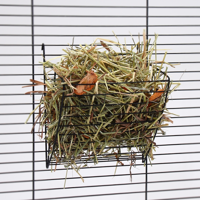 Сено луговое с фруктами «Пижон» для грызунов, 20 л, 500 г Сено луговое с фруктами «Пижон» для грызунов, 20 л, 500 г