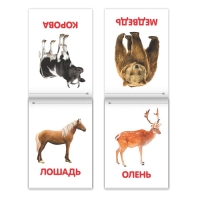 Книги &laquo;Карточки Домана на скрепке&raquo;, набор, 8 шт. по 20 стр.