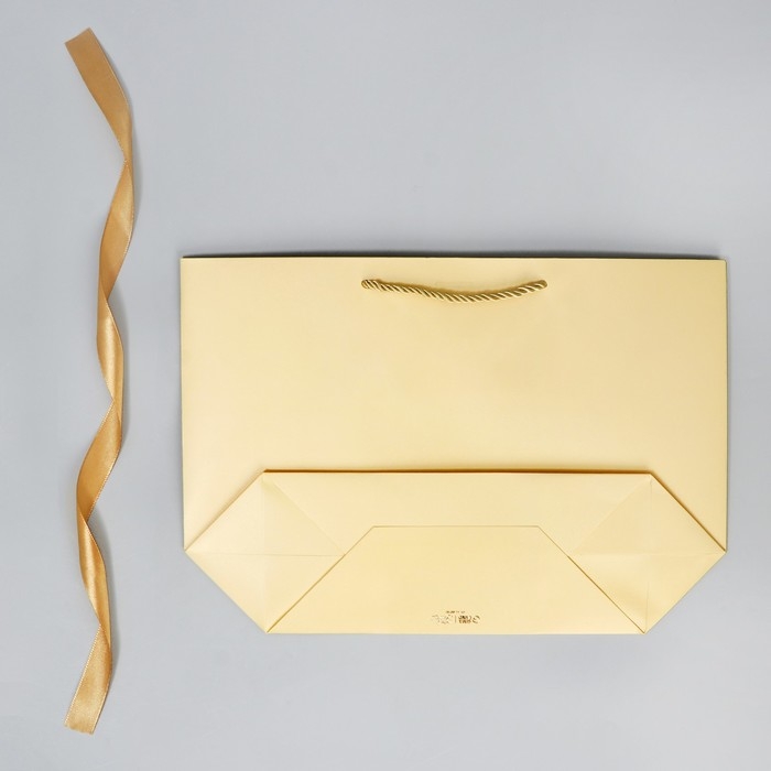 Пакет подарочный новогодний &laquo;Lucky present&raquo;, 26 х 25 х 11 см, Новый год