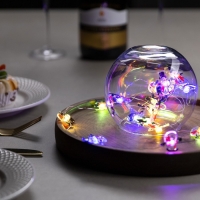 Гирлянда &laquo;Нить&raquo; 2 м роса с насадками &laquo;Снеговик в шарфе&raquo;, IP20, серебристая нить, 20 LED, 2 режима, батарейки ААх2 (нет в комплекте), свечение мульти