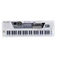 Синтезатор &laquo;Музыкант&raquo; с микрофоном, 49 клавиш, работает от сети и от батареек