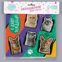 Топперы для торта &laquo;Котики&raquo;, картон на подложке, с проволокой