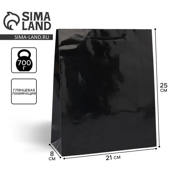 Пакет подарочный ламинированный, упаковка, &laquo;Чёрный&raquo;, ML 21 х 25 х 8 см
