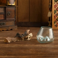 Вазон на коряге "Очарование" 12х10х10 см