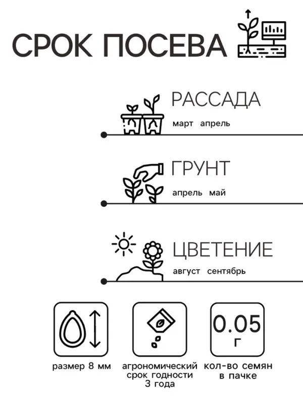 Семена Астра "Джувел Родолит", ц/п,  однолетняя,