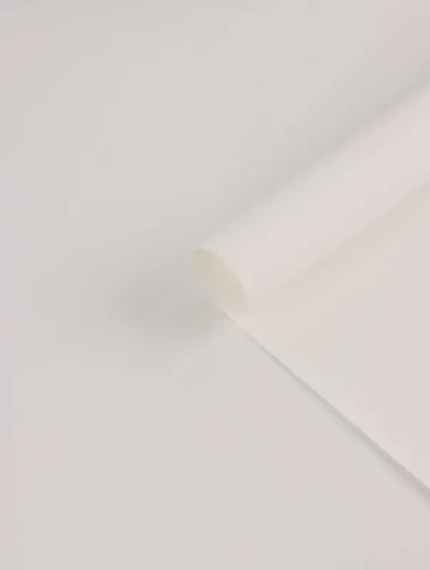 Бумага упаковочная крафт, двухсторонняя, "Триколор",50 х 68см&plusmn;5%