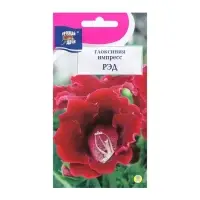 Семена цветов Глоксиния "Импресс Рэд", 3 шт. в амп.