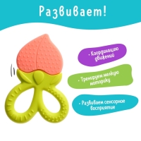 Прорезыватель для зубов детский &laquo;Фрукты-ягоды&raquo;, МИКС