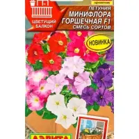 Семена цветов Петуния Минифлора горшечная F1, смесь сортов  (драже) Цветущий балкон, Ц/П,5 шт. 10945