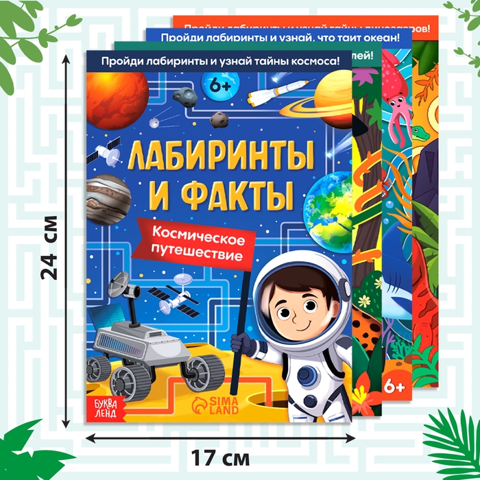 Набор книг &laquo;Лабиринты и факты: Пройди лабиринт и узнай факт!&raquo;, 4 книги по 24 стр., 6+