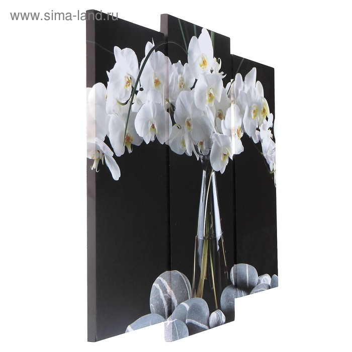 Модульная картина "Орхидеи в вазе"  (2-25х52; 1-30х60) 60х80 см