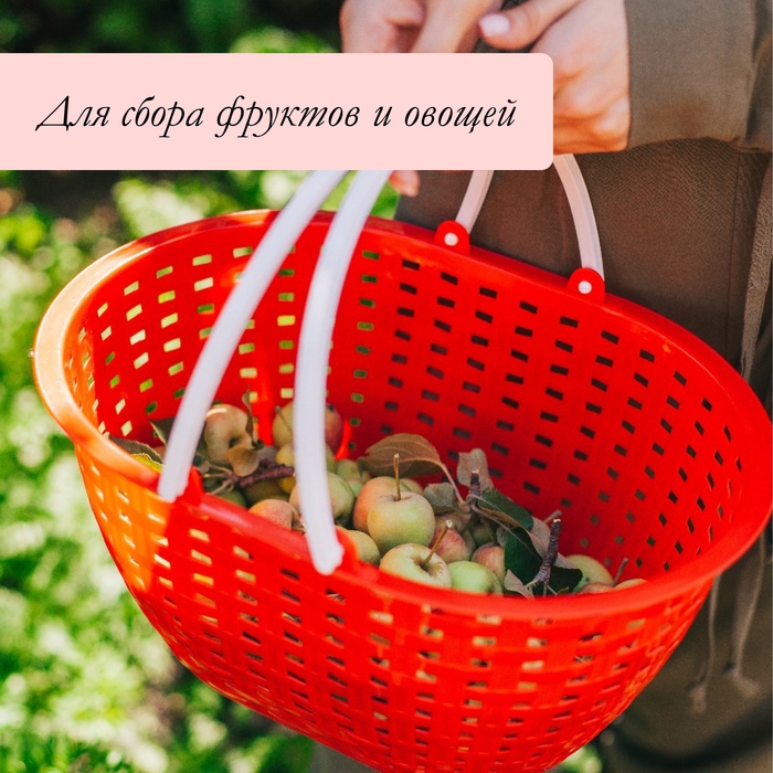 Ёмкость для сбора урожая &laquo;Лукошко&raquo;, цвет МИКС