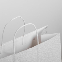 Пакет подарочный новогодний крафт &laquo;Чудесный праздник&raquo;, 25 х 22 х 12 см, Новый год