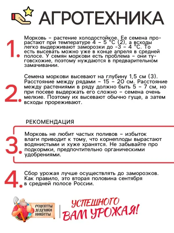 Семена Морковь "Витаминная 6", 2 г