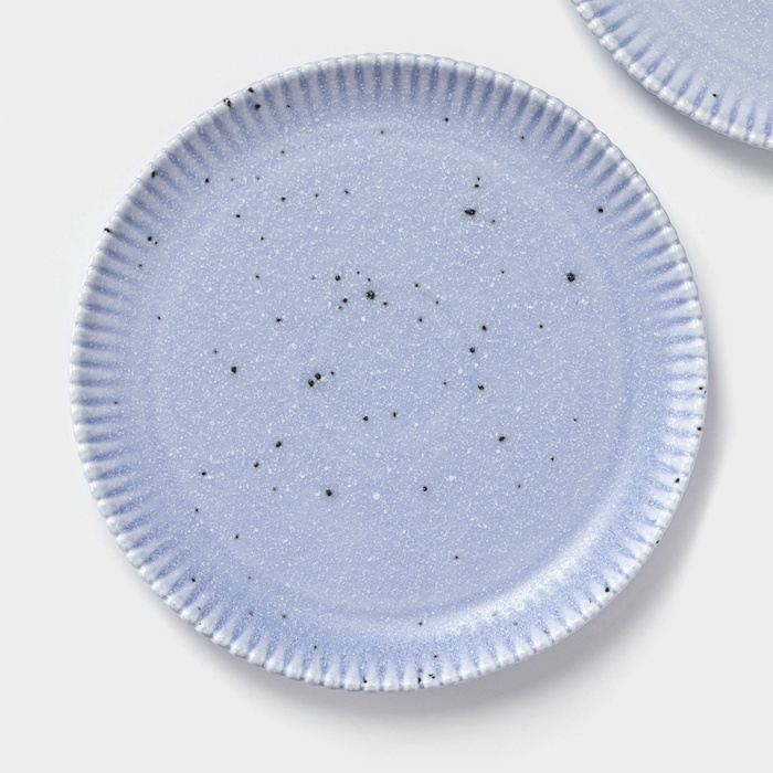 Тарелки Доляна &laquo;Коралл&raquo;, d=20,8 см, набор 2 шт, фарфор, голубые