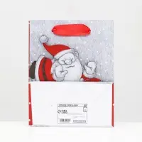 Пакет ламинированный &laquo;Мороз и Снеговик&raquo; 11.5&times;14.5&times;6 см