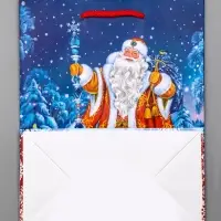 Пакет подарочный новогодний ламинированный, &laquo;Новогодний набор &raquo; , 18&times;10&times;22.3 см