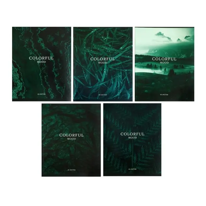 Тетрадь 48 листов в клетку, Calligrata &laquo;Изумруд&raquo;, обложка мелованный картон, серые листы, МИКС