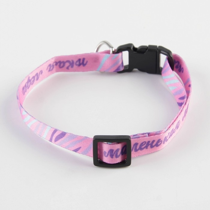 Ошейник для собак и кошек с фастексом &laquo;Маленькая леди&raquo;, 30х1 см
