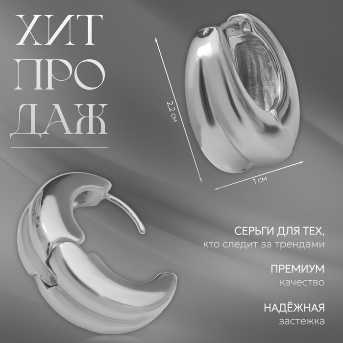 Серьги металл &laquo;Аккорд&raquo; двойной круг, цвет серебро