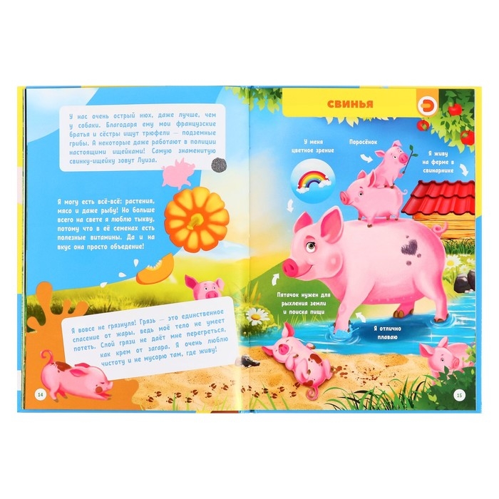 Моя первая энциклопедия «Домашние животные», твёрдый переплёт, 48 стр. Моя первая энциклопедия «Домашние животные», твёрдый переплёт, 48 стр.